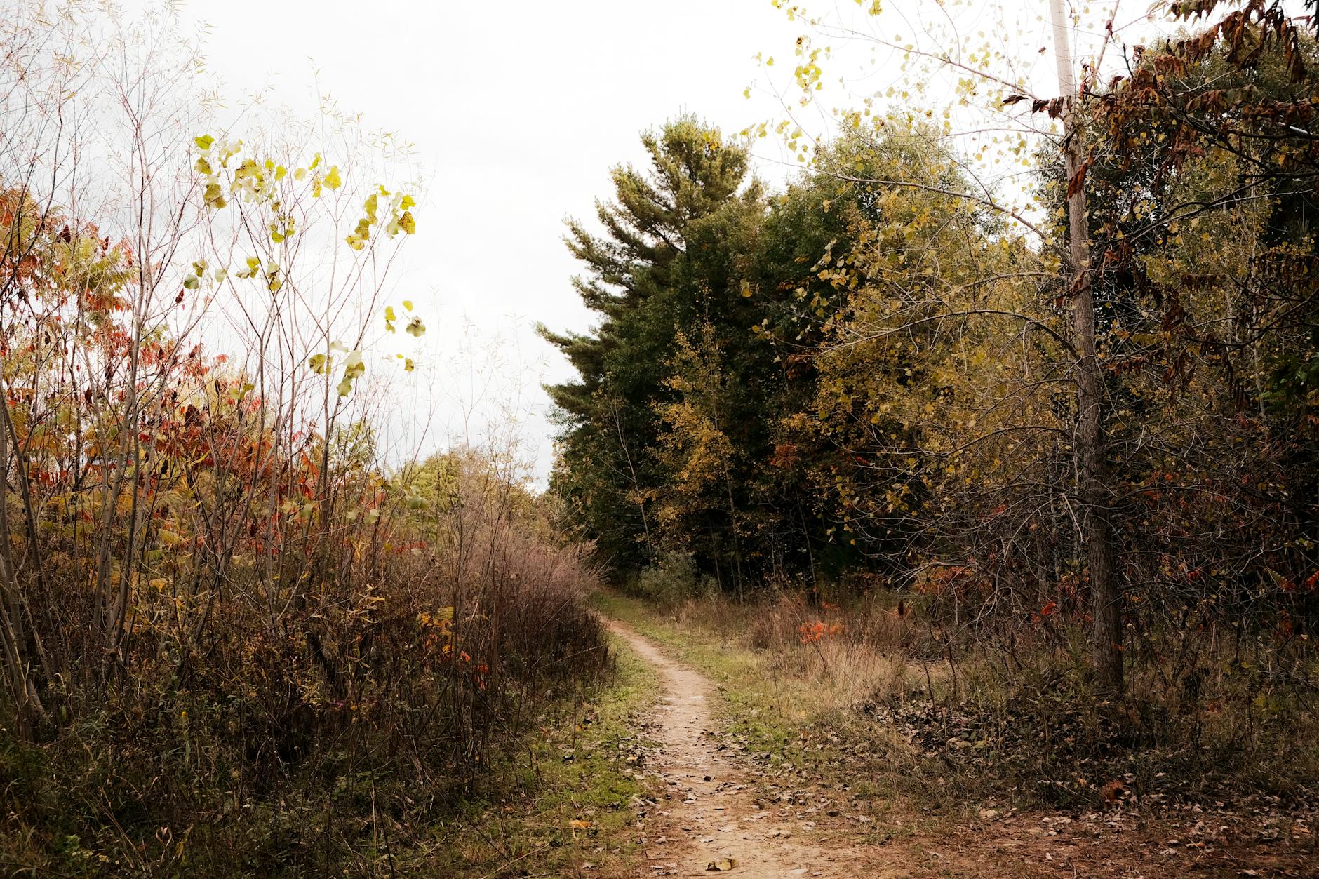 Hiking in fall shoulder season foliage