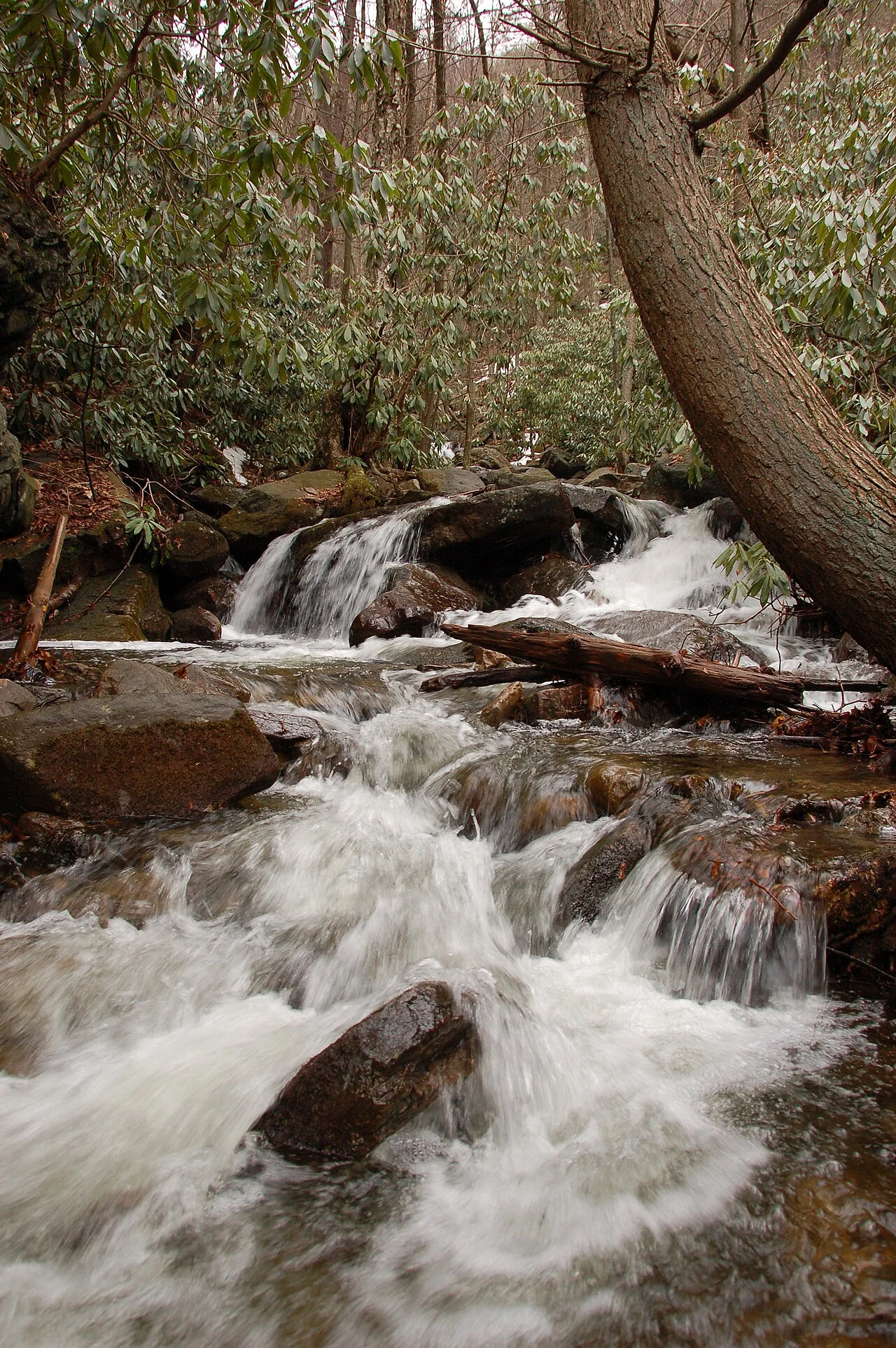 Waterfall in the Lehigh Gorge near Glen Onoko Falls, Pennsylvania