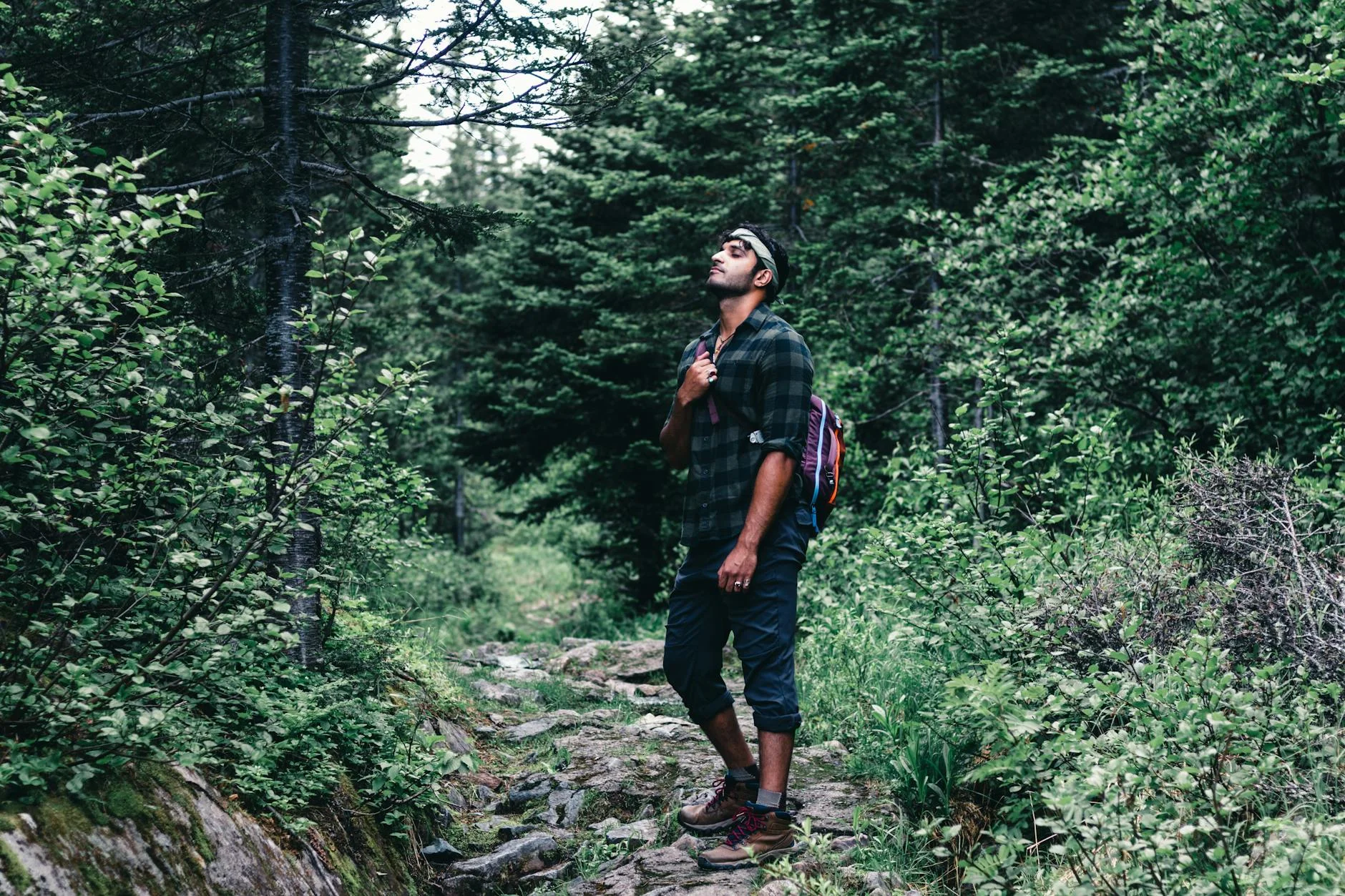 Man hiking on a forest trail in summer.
