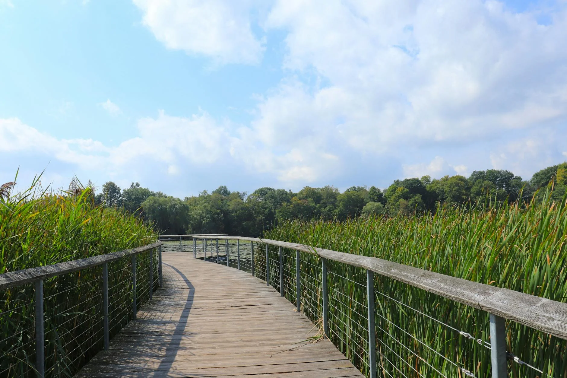 Boardwalk through marshland nature trail