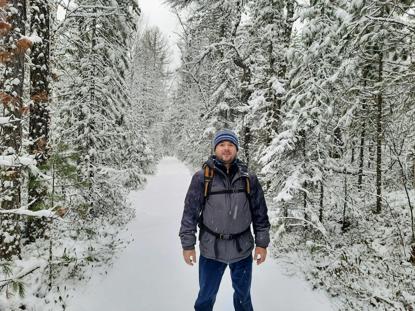 Hiker on a snowy winter forest trail