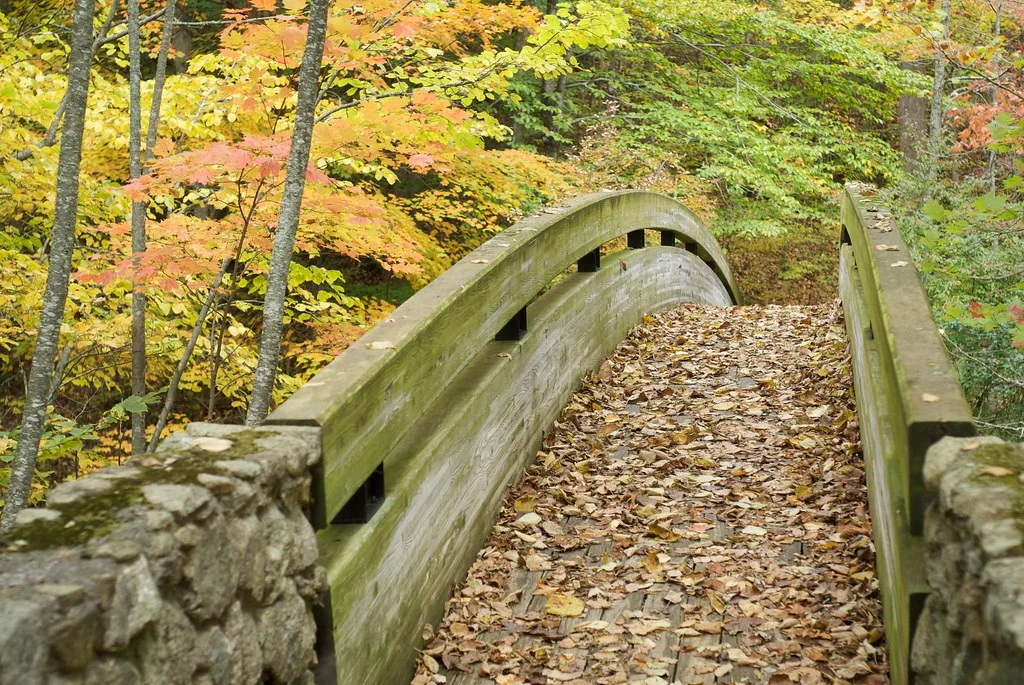 Bridge on the trail to Crabtree Falls, Virginia