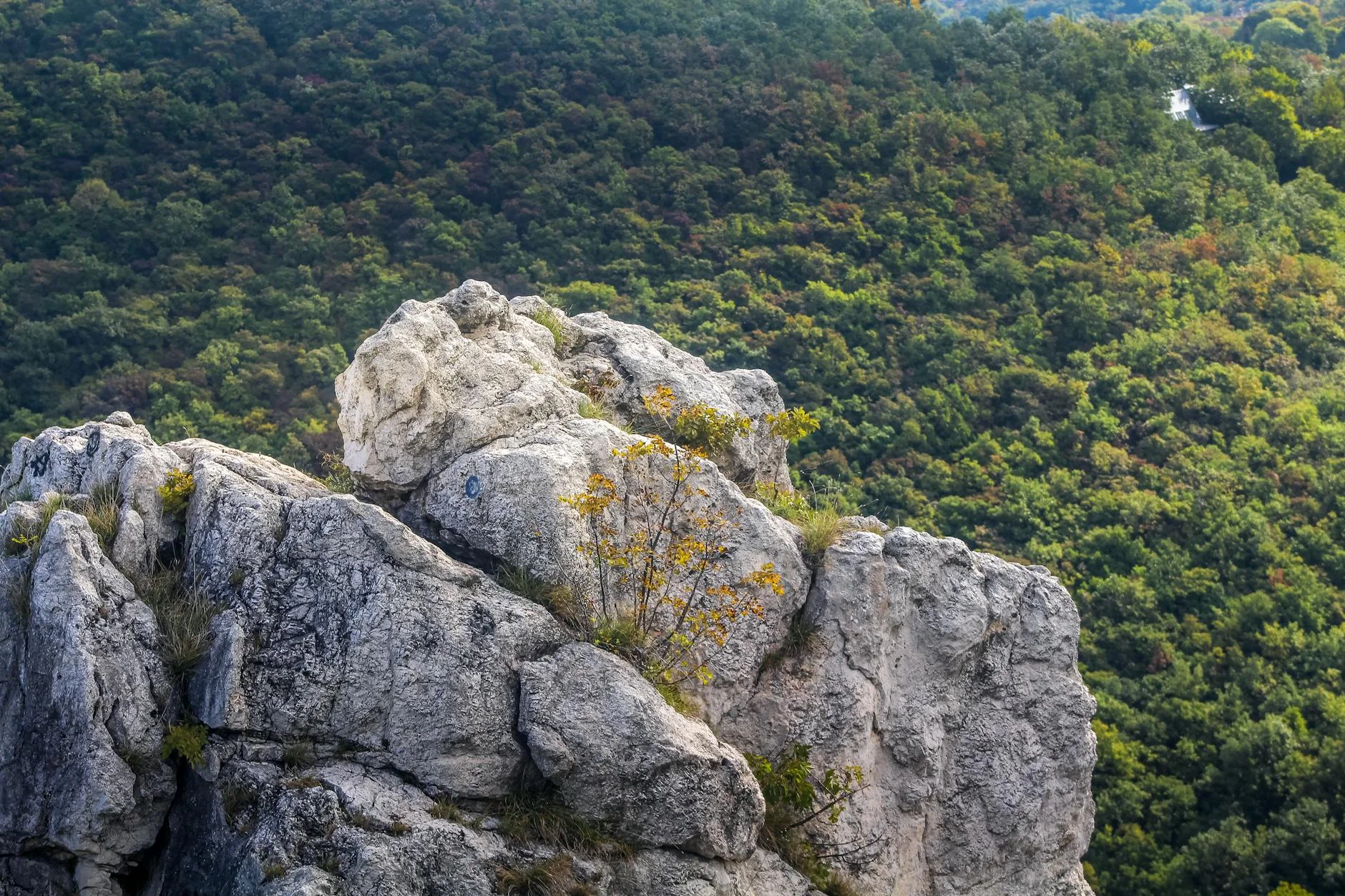 Rocky outcrop with panoramic view over forested landscape