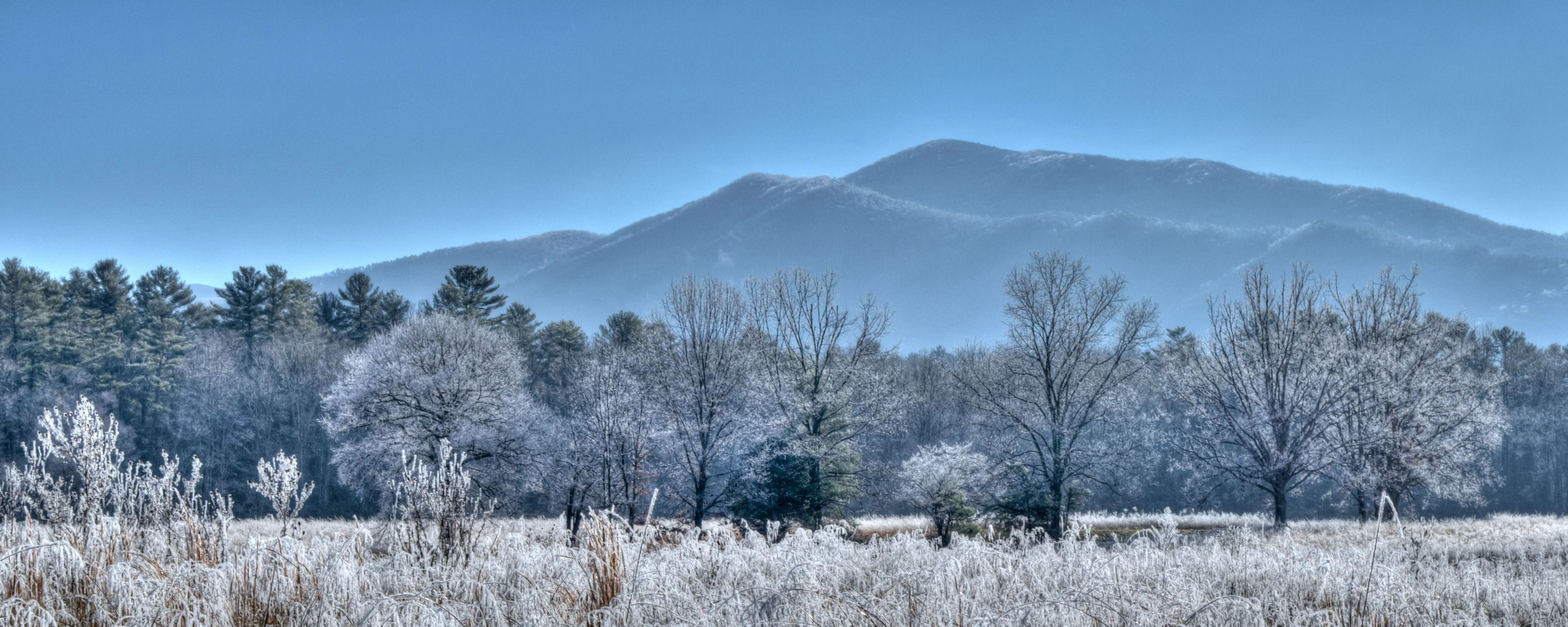 Frosty morning in the Great Smoky Mountains