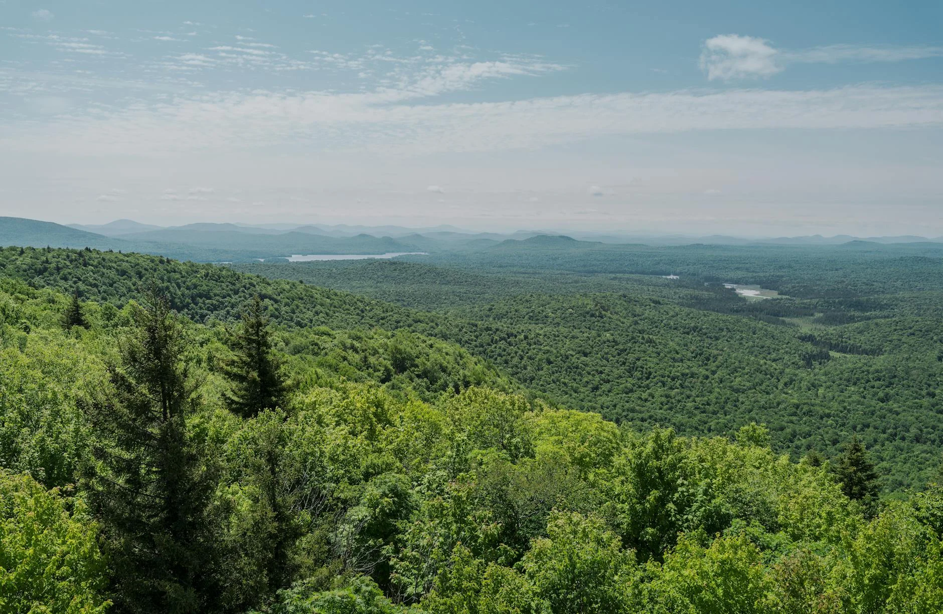 Hiking trail through mountain forest to fire tower