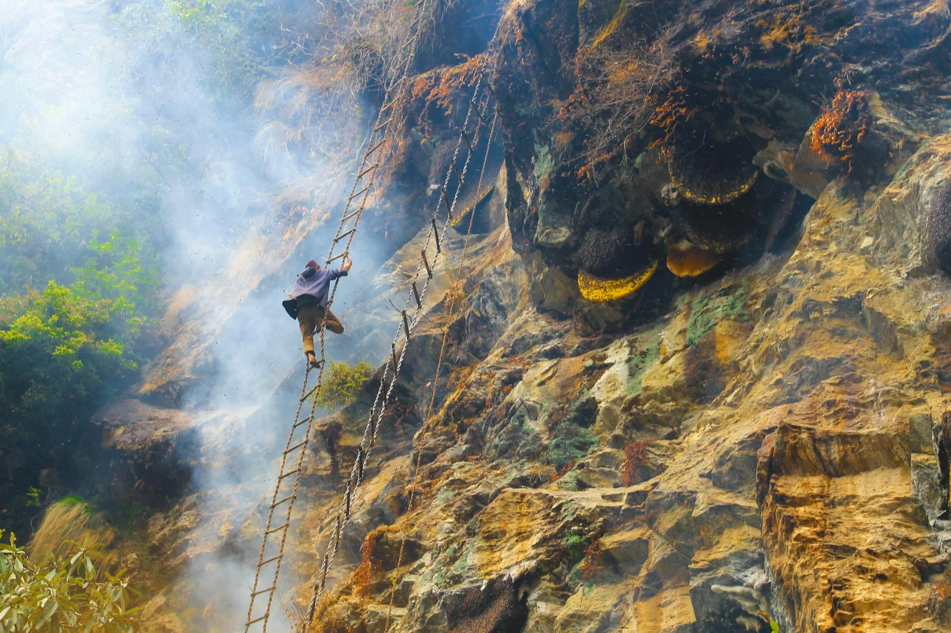 Climber on exposed cliff trail with iron rungs