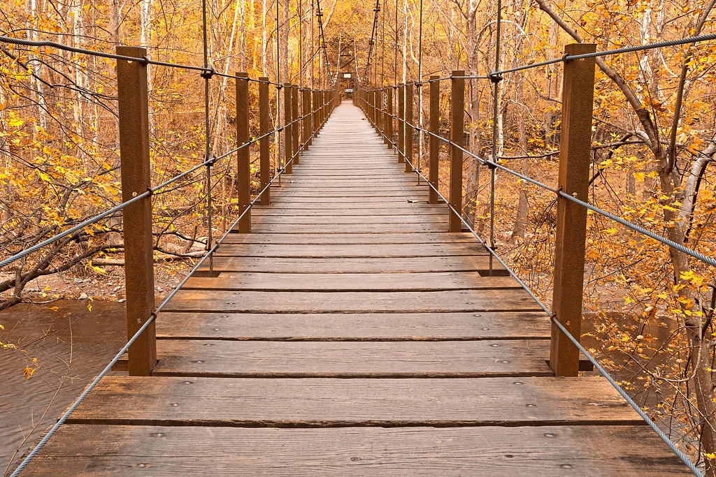 Bridge over river in forested state park