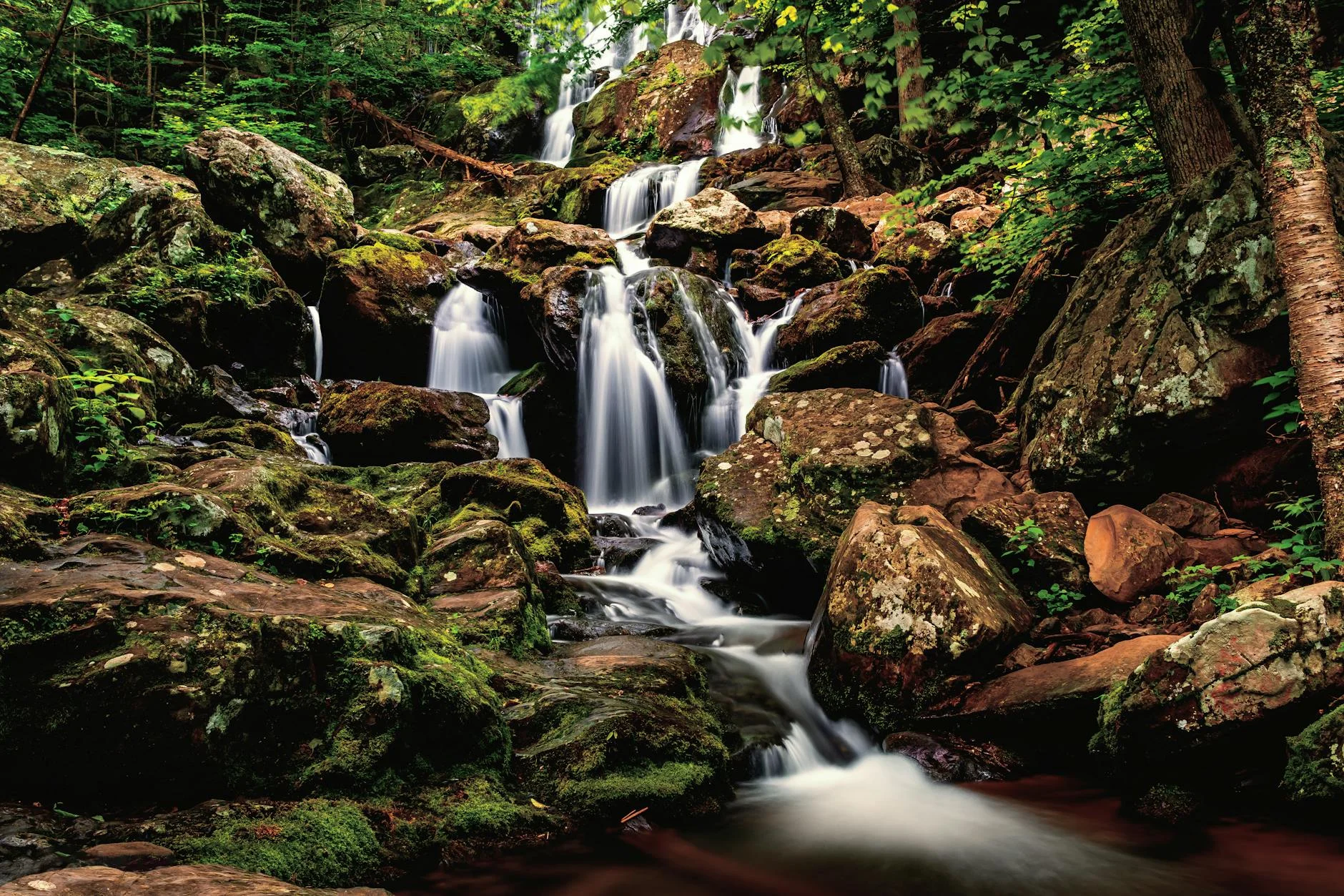 Waterfall cascading through Shenandoah forest