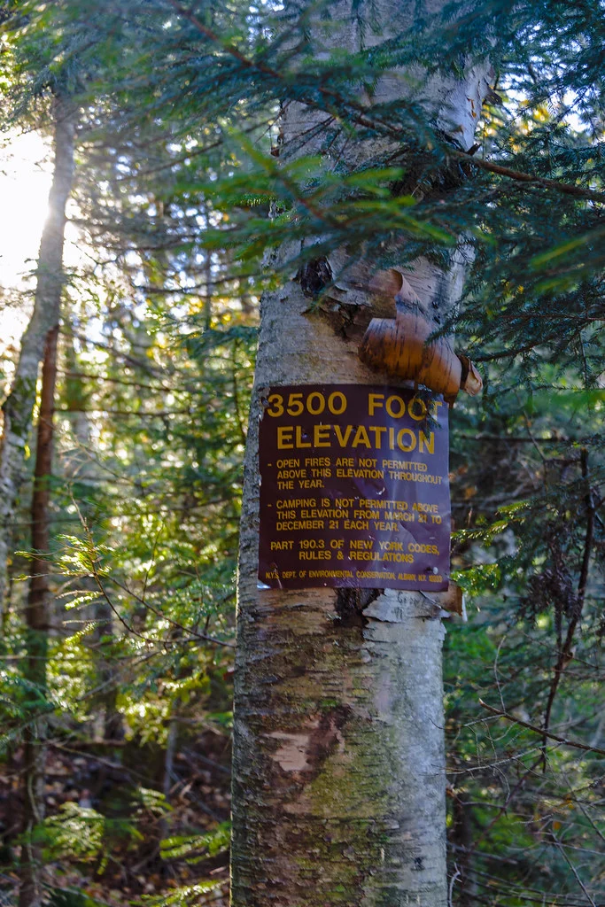 Trail through the Catskills forest to Slide Mountain