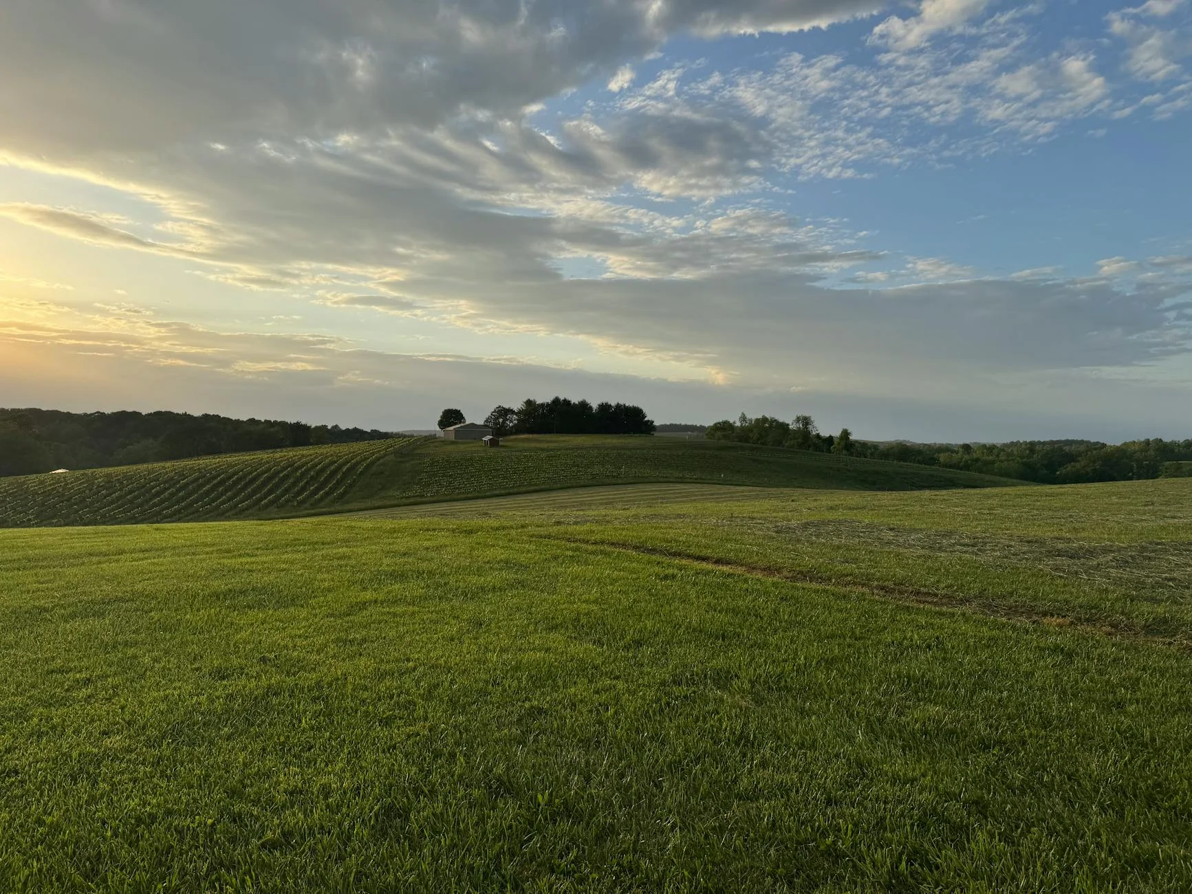 Rolling green hills and farmland viewed from a summit