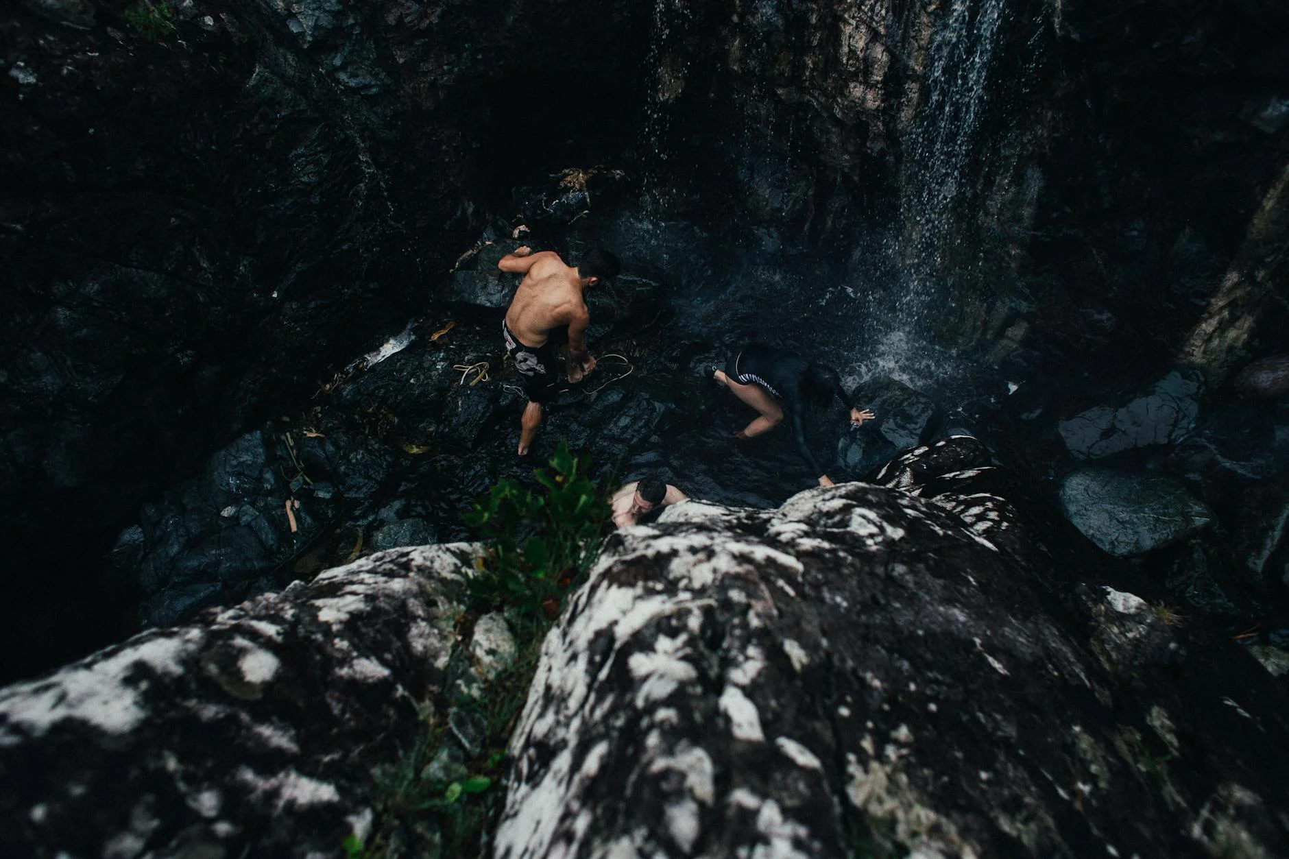 Hikers swimming in a river surrounded by lush greenery