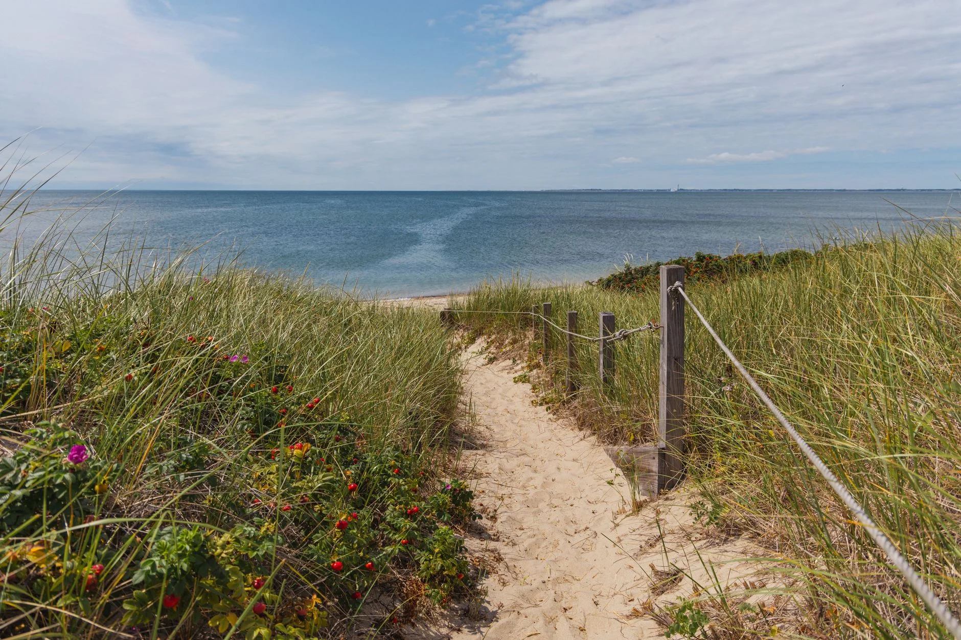 Wooden boardwalk trail crossing dunes on Cape Cod