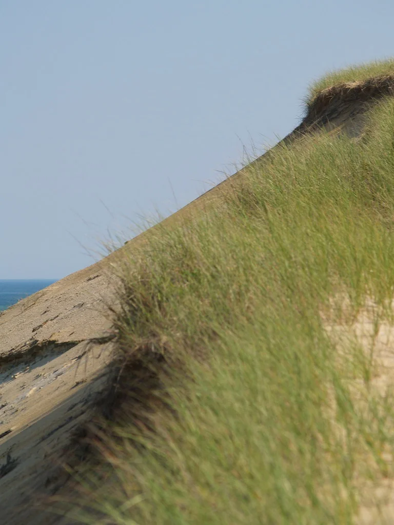 Open sand dunes in the Cape Cod National Seashore