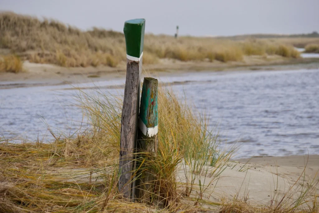 Best Hikes on Cape Cod: 10 Trails Where the Land Runs Out