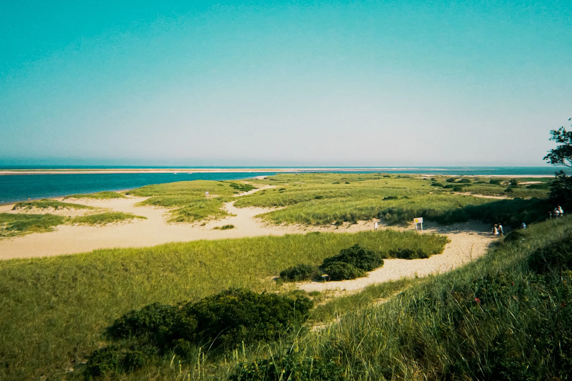 Salt marsh and tidal channels near Nauset Marsh on Cape Cod